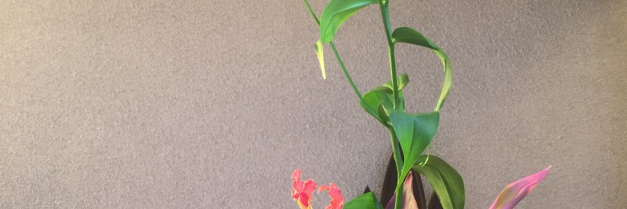 ペンテコステのお花